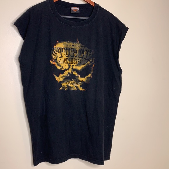 Harley-Davidson | Black Hills Rapid City 2004 Tee | Sleeveless Distressed Shirt - Picture 7 of 8